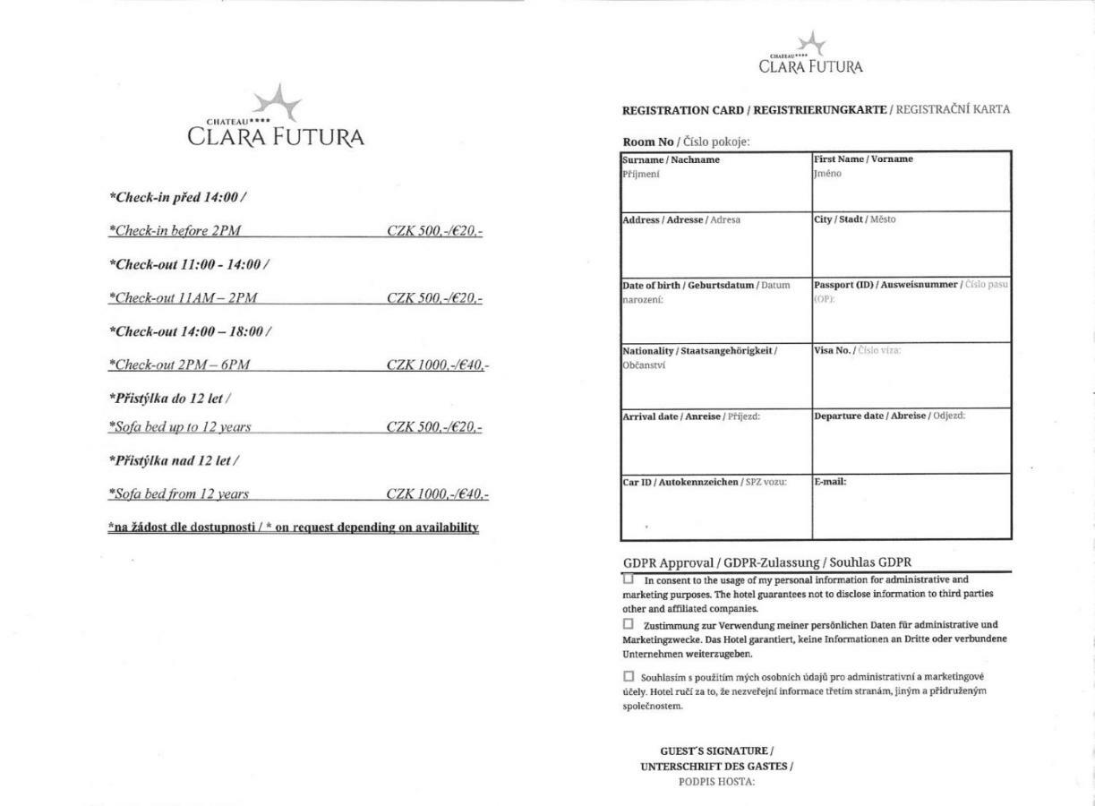 Chateau Clara Futura Dolni Brezany 外观 照片